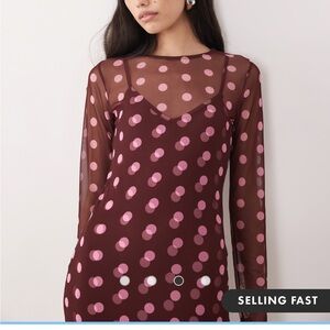 Never Fully Dressed Burgundy and Pink Polka Dot dress